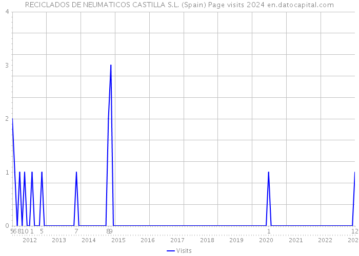 RECICLADOS DE NEUMATICOS CASTILLA S.L. (Spain) Page visits 2024 