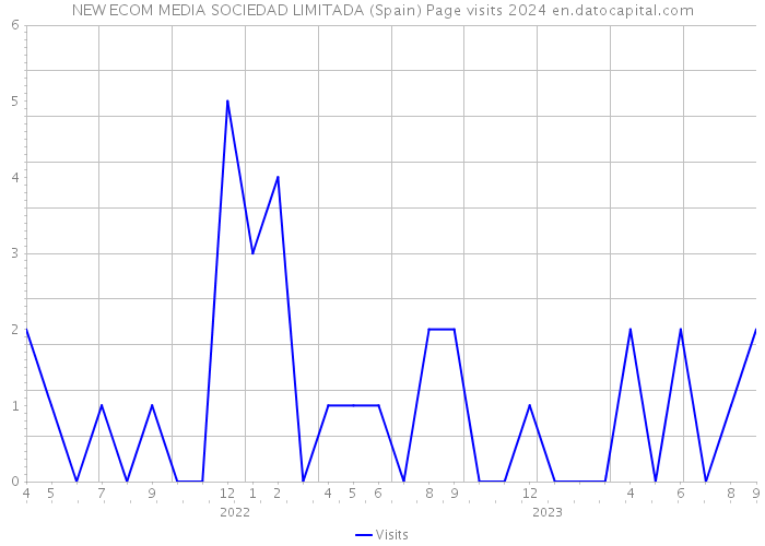 NEW ECOM MEDIA SOCIEDAD LIMITADA (Spain) Page visits 2024 