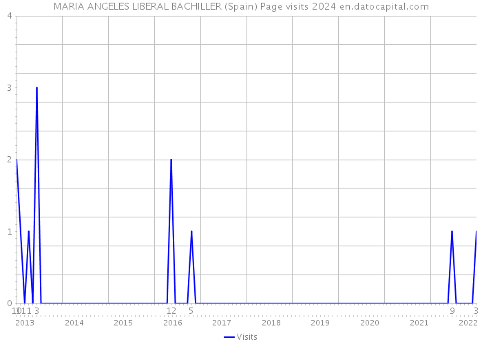 MARIA ANGELES LIBERAL BACHILLER (Spain) Page visits 2024 