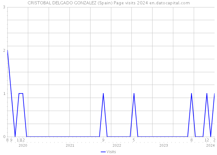 CRISTOBAL DELGADO GONZALEZ (Spain) Page visits 2024 