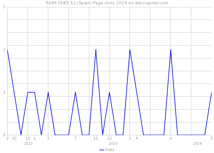 RAIM ONES S.L (Spain) Page visits 2024 