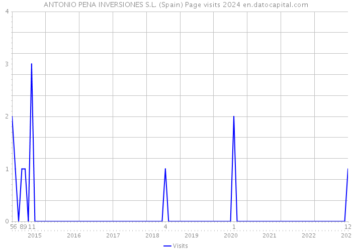 ANTONIO PENA INVERSIONES S.L. (Spain) Page visits 2024 