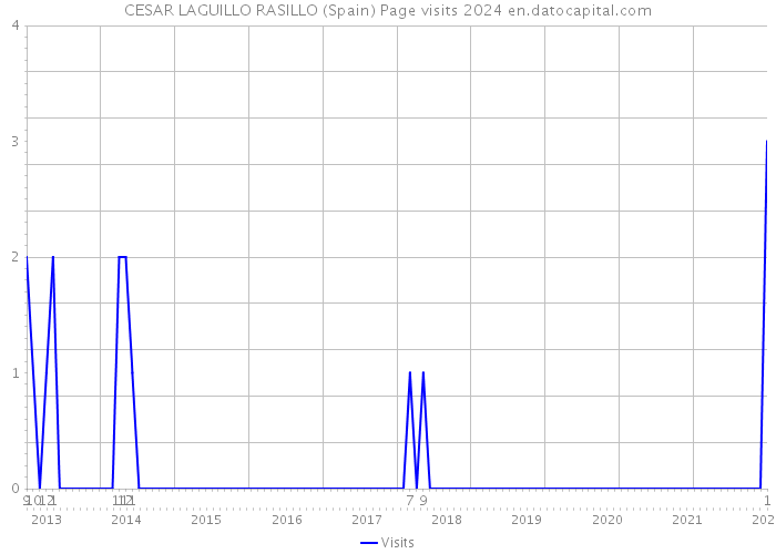 CESAR LAGUILLO RASILLO (Spain) Page visits 2024 