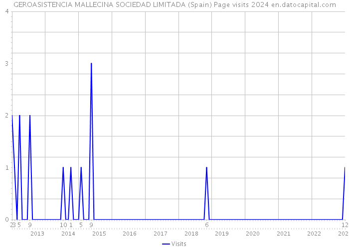 GEROASISTENCIA MALLECINA SOCIEDAD LIMITADA (Spain) Page visits 2024 