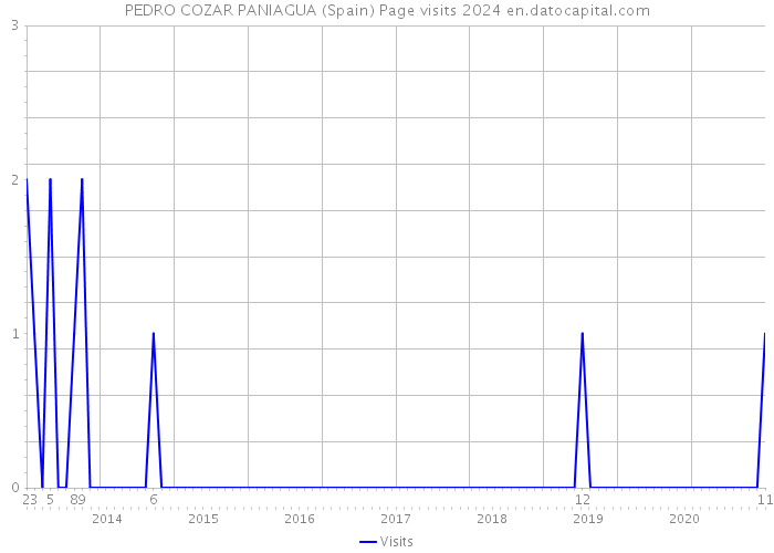 PEDRO COZAR PANIAGUA (Spain) Page visits 2024 