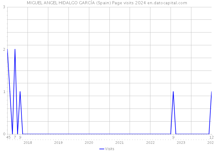 MIGUEL ANGEL HIDALGO GARCÍA (Spain) Page visits 2024 