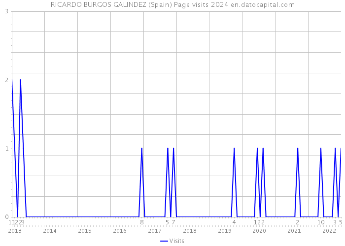 RICARDO BURGOS GALINDEZ (Spain) Page visits 2024 