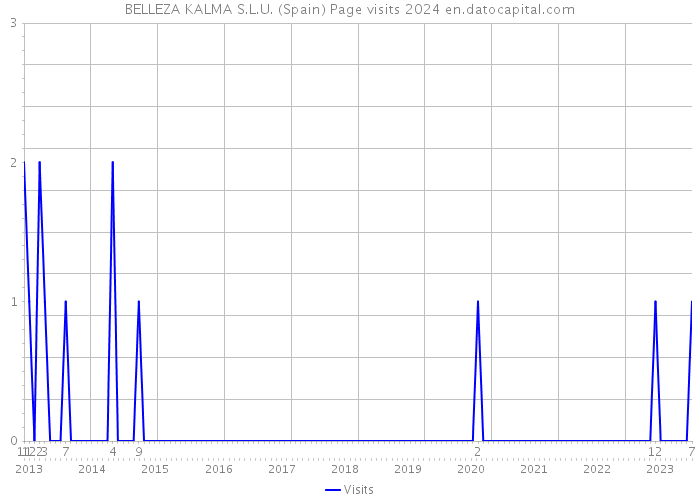 BELLEZA KALMA S.L.U. (Spain) Page visits 2024 