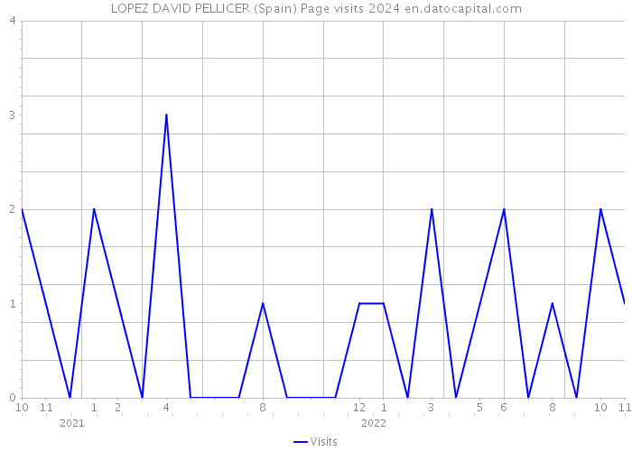 LOPEZ DAVID PELLICER (Spain) Page visits 2024 