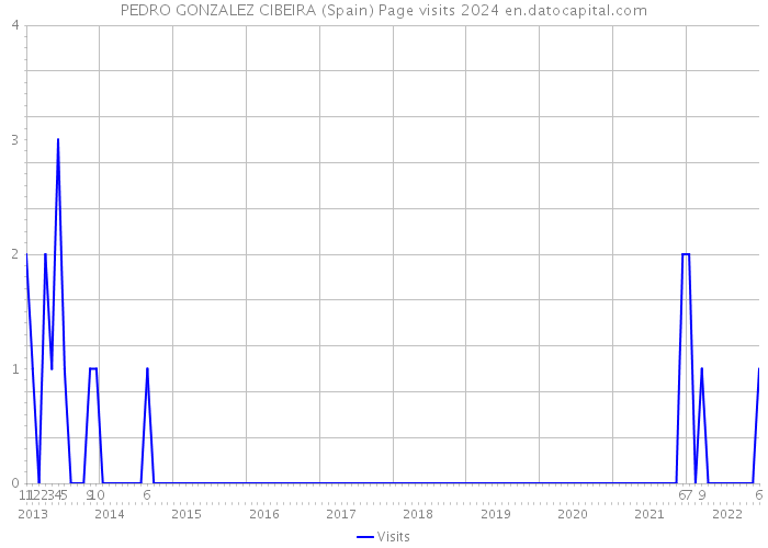 PEDRO GONZALEZ CIBEIRA (Spain) Page visits 2024 