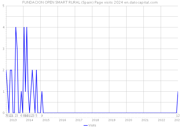 FUNDACION OPEN SMART RURAL (Spain) Page visits 2024 