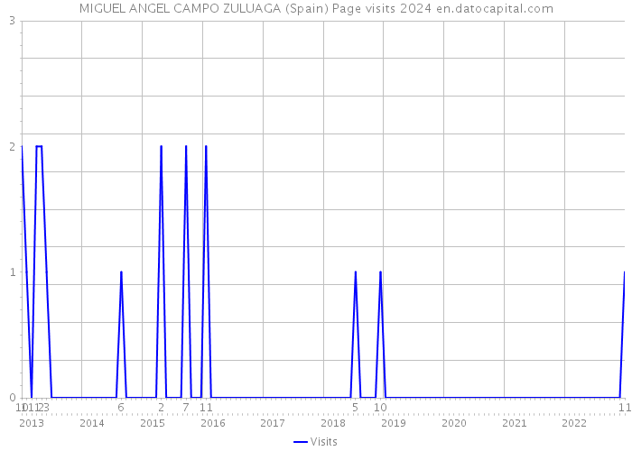 MIGUEL ANGEL CAMPO ZULUAGA (Spain) Page visits 2024 