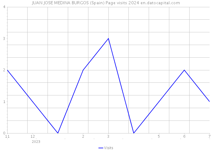JUAN JOSE MEDINA BURGOS (Spain) Page visits 2024 