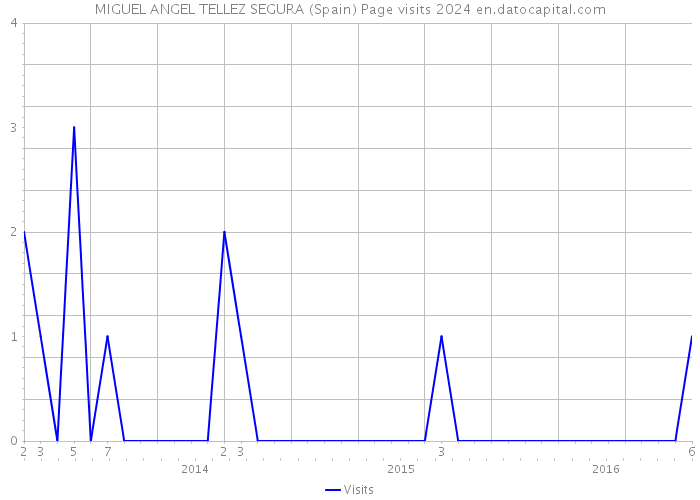 MIGUEL ANGEL TELLEZ SEGURA (Spain) Page visits 2024 