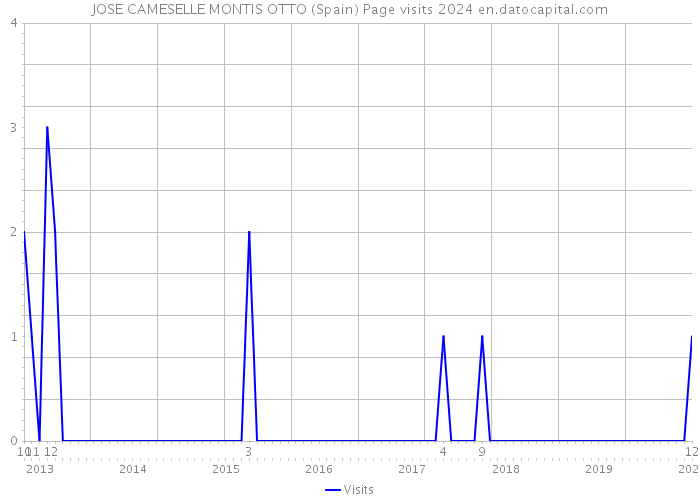 JOSE CAMESELLE MONTIS OTTO (Spain) Page visits 2024 