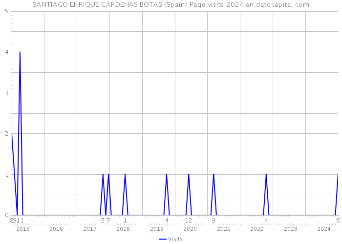 SANTIAGO ENRIQUE CARDENAS BOTAS (Spain) Page visits 2024 