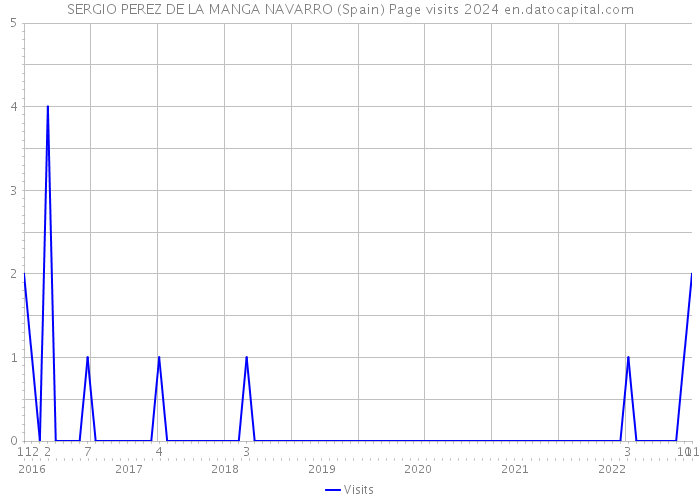 SERGIO PEREZ DE LA MANGA NAVARRO (Spain) Page visits 2024 