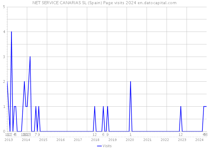 NET SERVICE CANARIAS SL (Spain) Page visits 2024 