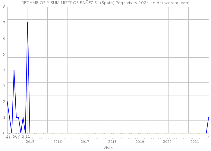 RECAMBIOS Y SUMINISTROS BAÑEZ SL (Spain) Page visits 2024 