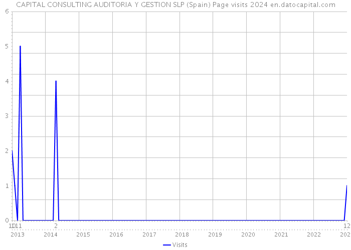 CAPITAL CONSULTING AUDITORIA Y GESTION SLP (Spain) Page visits 2024 