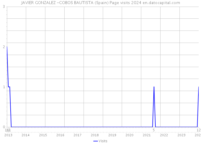 JAVIER GONZALEZ -COBOS BAUTISTA (Spain) Page visits 2024 