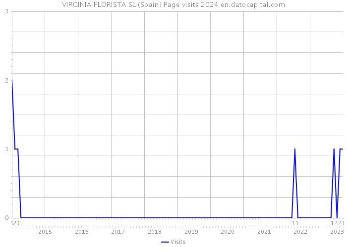 VIRGINIA FLORISTA SL (Spain) Page visits 2024 