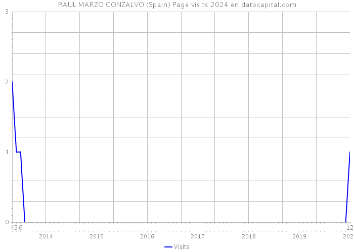 RAUL MARZO GONZALVO (Spain) Page visits 2024 