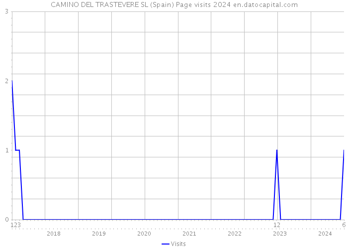 CAMINO DEL TRASTEVERE SL (Spain) Page visits 2024 