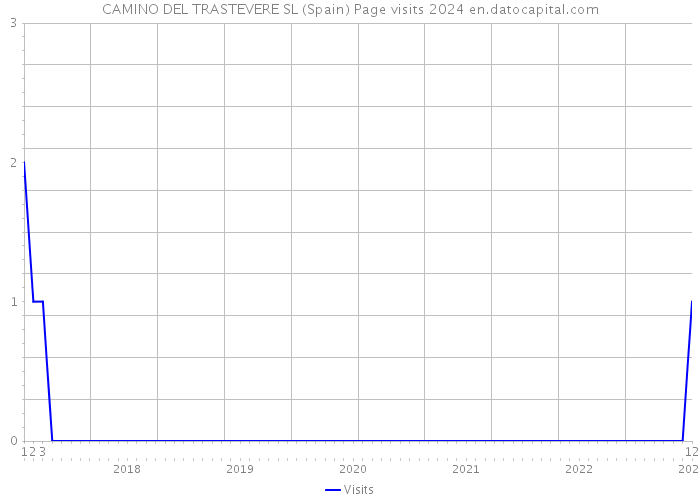 CAMINO DEL TRASTEVERE SL (Spain) Page visits 2024 