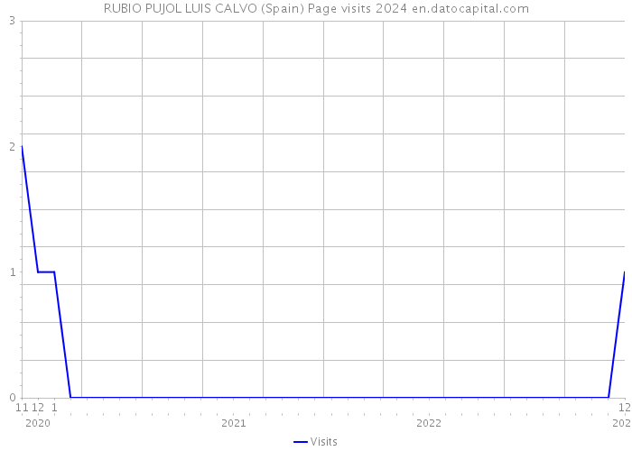 RUBIO PUJOL LUIS CALVO (Spain) Page visits 2024 
