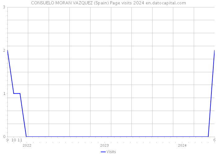 CONSUELO MORAN VAZQUEZ (Spain) Page visits 2024 