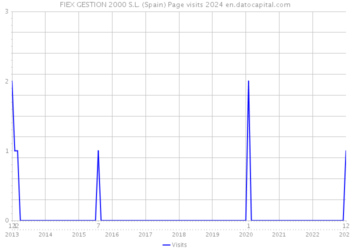 FIEX GESTION 2000 S.L. (Spain) Page visits 2024 