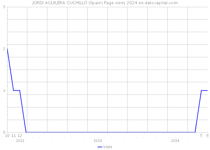 JORDI AGUILERA CUCHILLO (Spain) Page visits 2024 