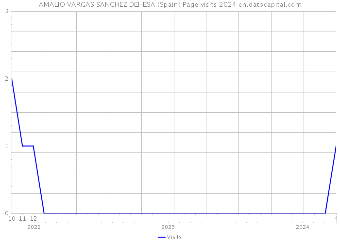 AMALIO VARGAS SANCHEZ DEHESA (Spain) Page visits 2024 
