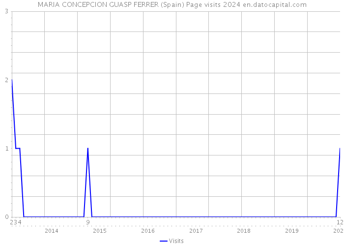 MARIA CONCEPCION GUASP FERRER (Spain) Page visits 2024 