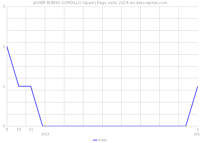 JAVIER BUENO GORDILLO (Spain) Page visits 2024 