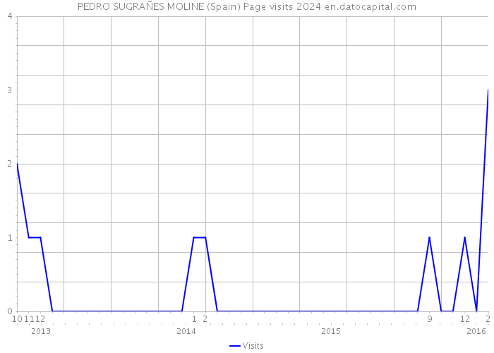 PEDRO SUGRAÑES MOLINE (Spain) Page visits 2024 