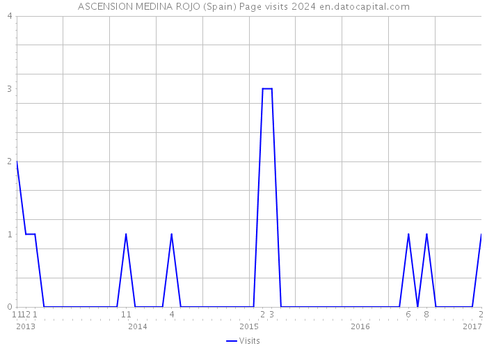 ASCENSION MEDINA ROJO (Spain) Page visits 2024 