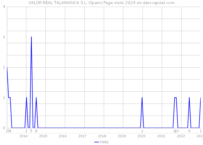VALOR REAL TALAMANCA S.L. (Spain) Page visits 2024 