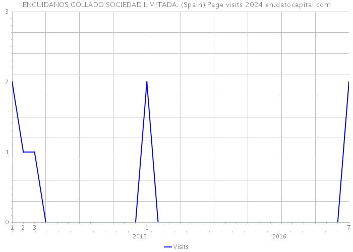 ENGUIDANOS COLLADO SOCIEDAD LIMITADA. (Spain) Page visits 2024 