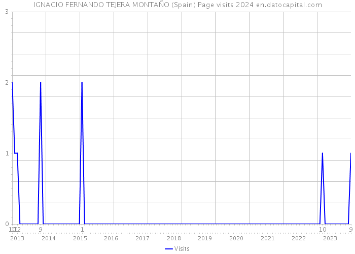 IGNACIO FERNANDO TEJERA MONTAÑO (Spain) Page visits 2024 