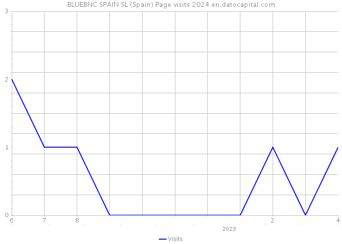 BLUEBNC SPAIN SL (Spain) Page visits 2024 