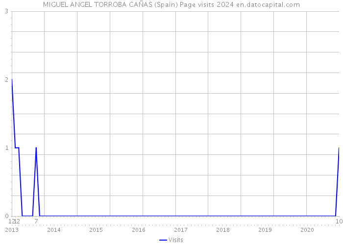 MIGUEL ANGEL TORROBA CAÑAS (Spain) Page visits 2024 