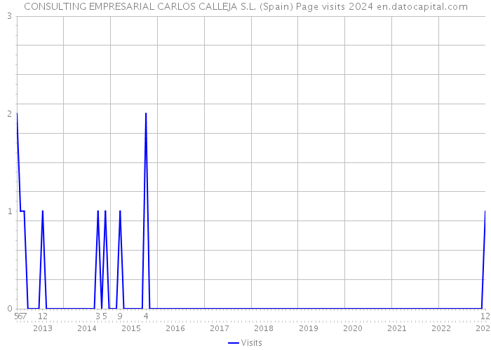 CONSULTING EMPRESARIAL CARLOS CALLEJA S.L. (Spain) Page visits 2024 