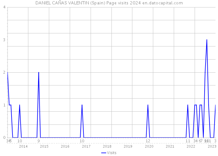 DANIEL CAÑAS VALENTIN (Spain) Page visits 2024 