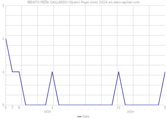 BENITO PEÑA GALLARDO (Spain) Page visits 2024 