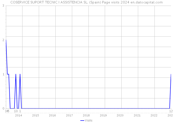 COSERVICE SUPORT TECNIC I ASSISTENCIA SL. (Spain) Page visits 2024 