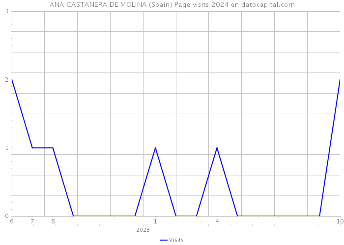 ANA CASTANERA DE MOLINA (Spain) Page visits 2024 