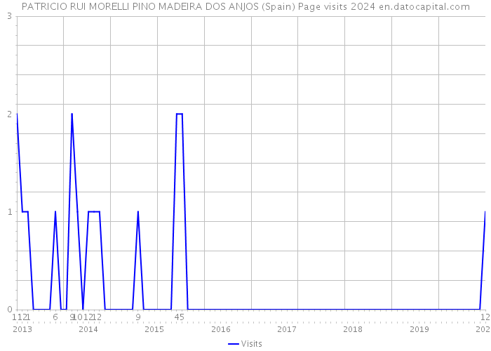 PATRICIO RUI MORELLI PINO MADEIRA DOS ANJOS (Spain) Page visits 2024 