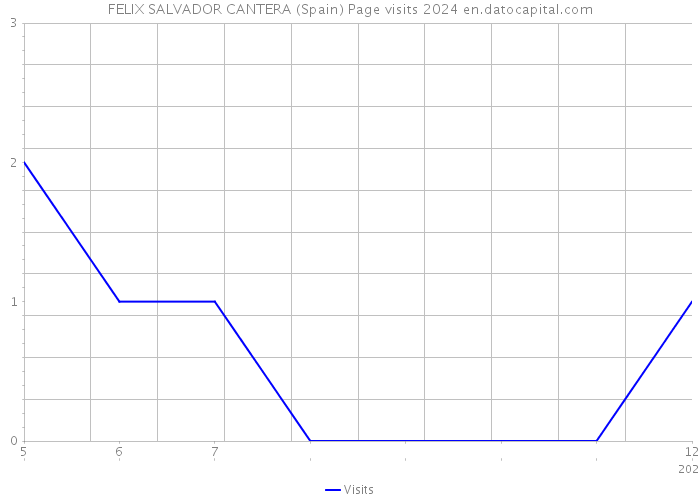 FELIX SALVADOR CANTERA (Spain) Page visits 2024 